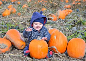 3 Fall-Inspired Birthday Party Ideas - SavvyMom